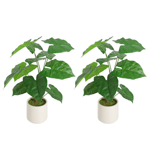 30" Artificial Alocasia Leaf Plants, 2 Pack Faux Tropical Potted Decor with White Pots