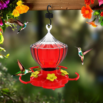 Ant and Bee Proof Outdoor Hummingbird Feeder