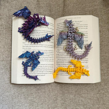 Book Gift: A Date with Books and Dragons