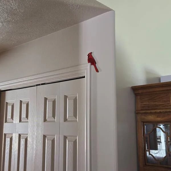 Cardinal Door Topper