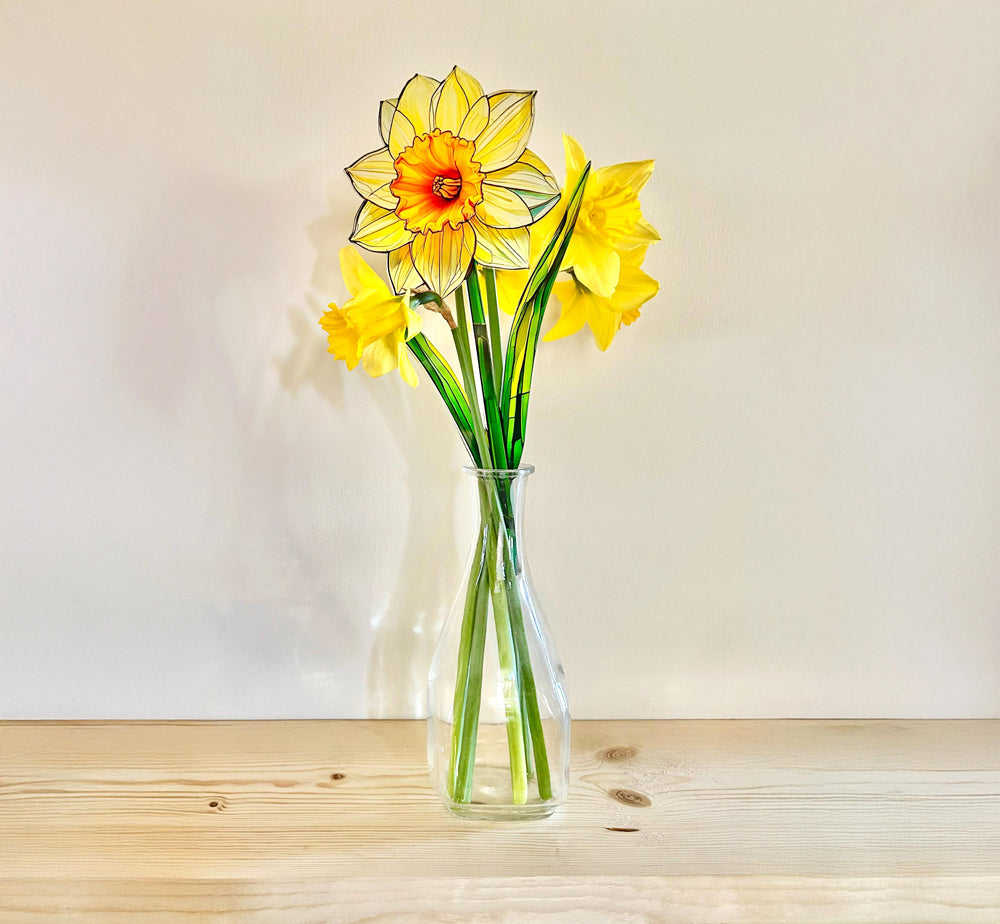 Everlasting Daffodil