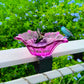 Outdoor Garden Bird Bath Bowls and Bird Feeders