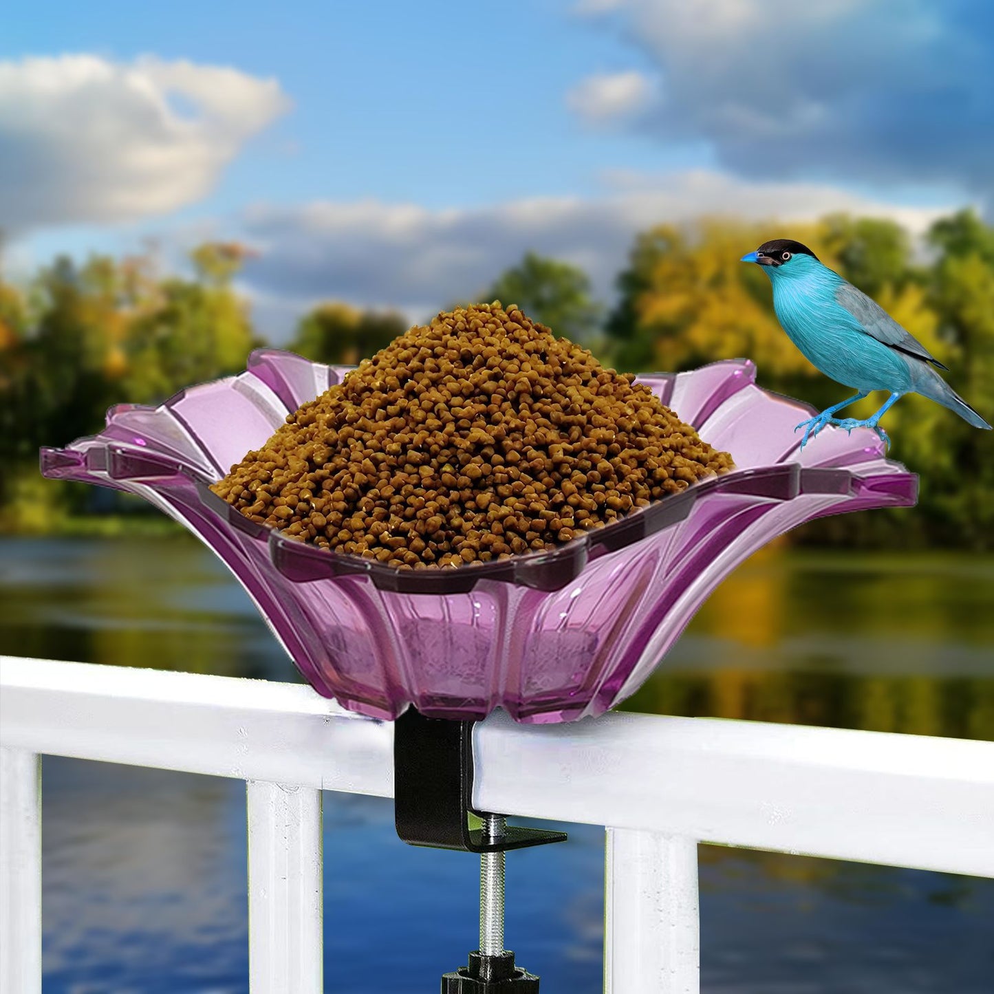Outdoor Garden Bird Bath Bowls and Bird Feeders