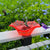 Outdoor Garden Bird Bath Bowls and Bird Feeders