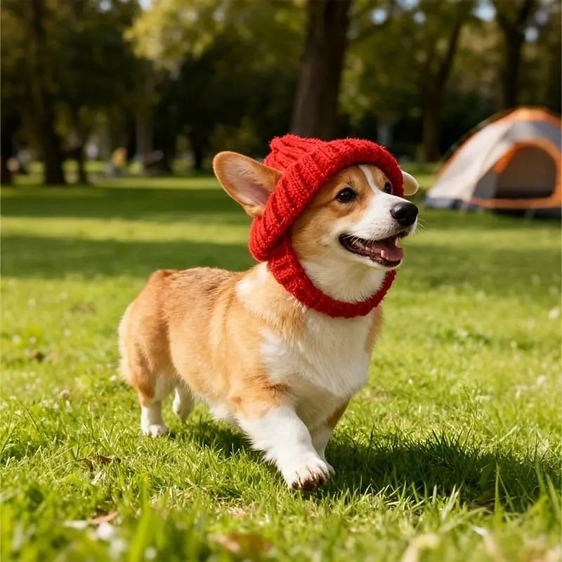 Red Knit Dog Beanie with Ear Flaps – Warm Winter Hat