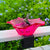 Outdoor Garden Bird Bath Bowls and Bird Feeders