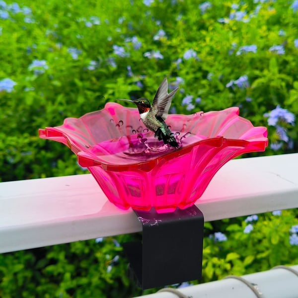 Outdoor Garden Bird Bath Bowls and Bird Feeders