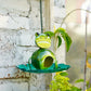 Frog Pond Bird Feeder – Eco-Friendly Bird Buffet for Backyard Bliss