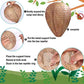 Best Bee Brothers Natural Wasp Deterrent Hives - Protect Your Yard from Territorial Wasps