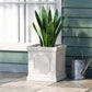 26240279