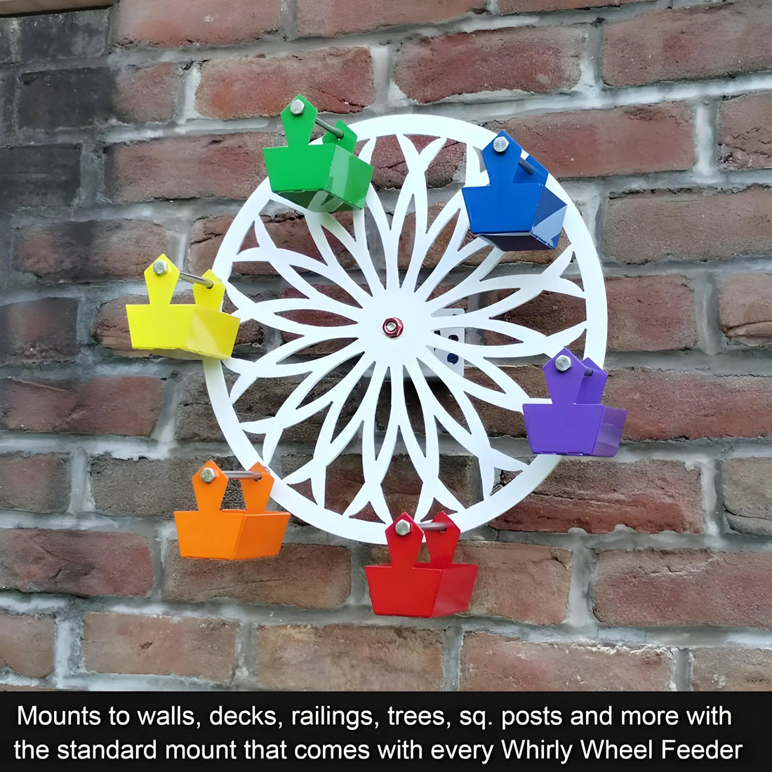 The Ferris Wheel For Feathered Friends