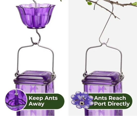 Glass Hummingbird Feeder