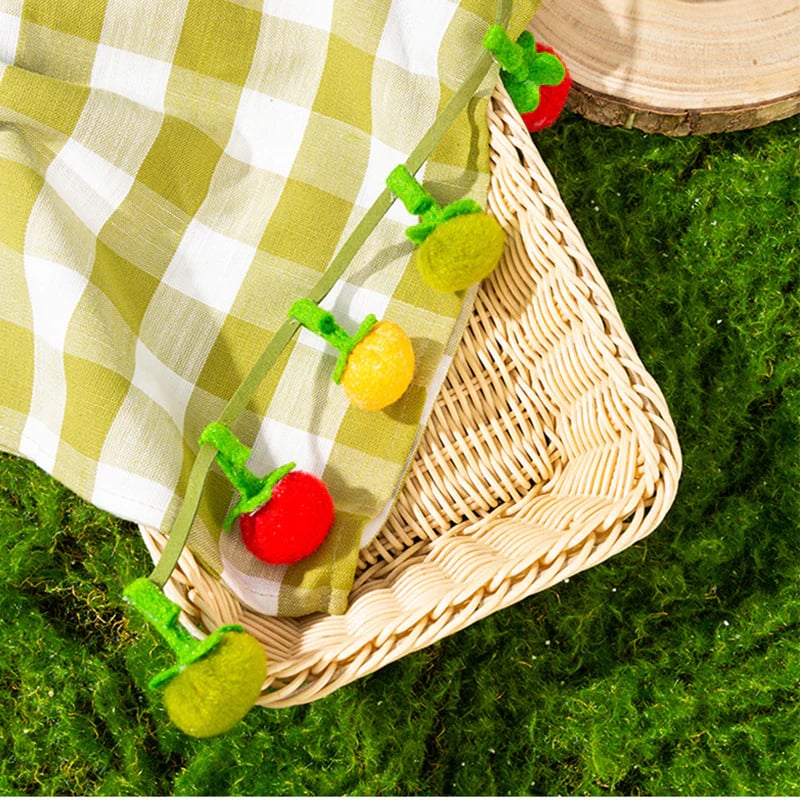 Interactive Fruit-Shaped Catnip Toy String