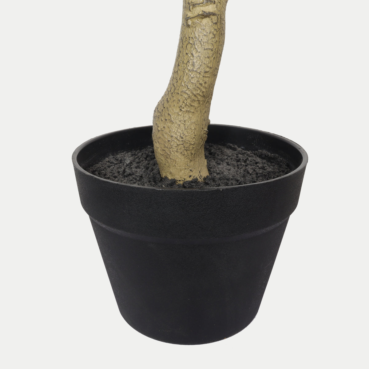 26702977