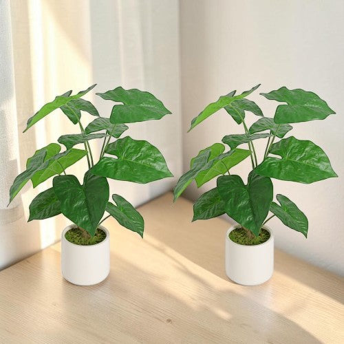 30" Artificial Alocasia Leaf Plants, 2 Pack Faux Tropical Potted Decor with White Pots