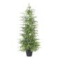 26703069