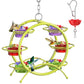 Unique Hummingbird Feeder for Outdoors