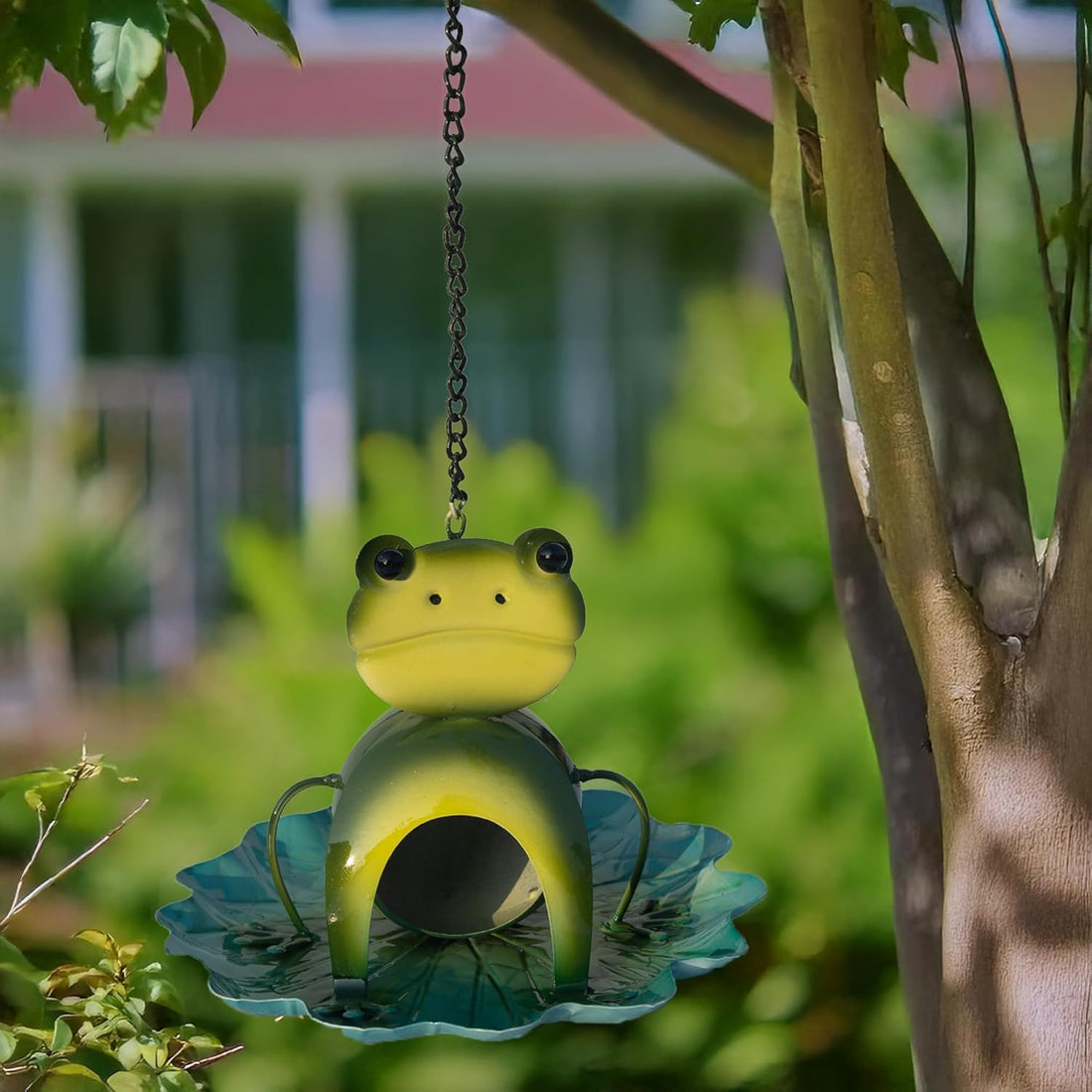 Frog Pond Bird Feeder – Eco-Friendly Bird Buffet for Backyard Bliss