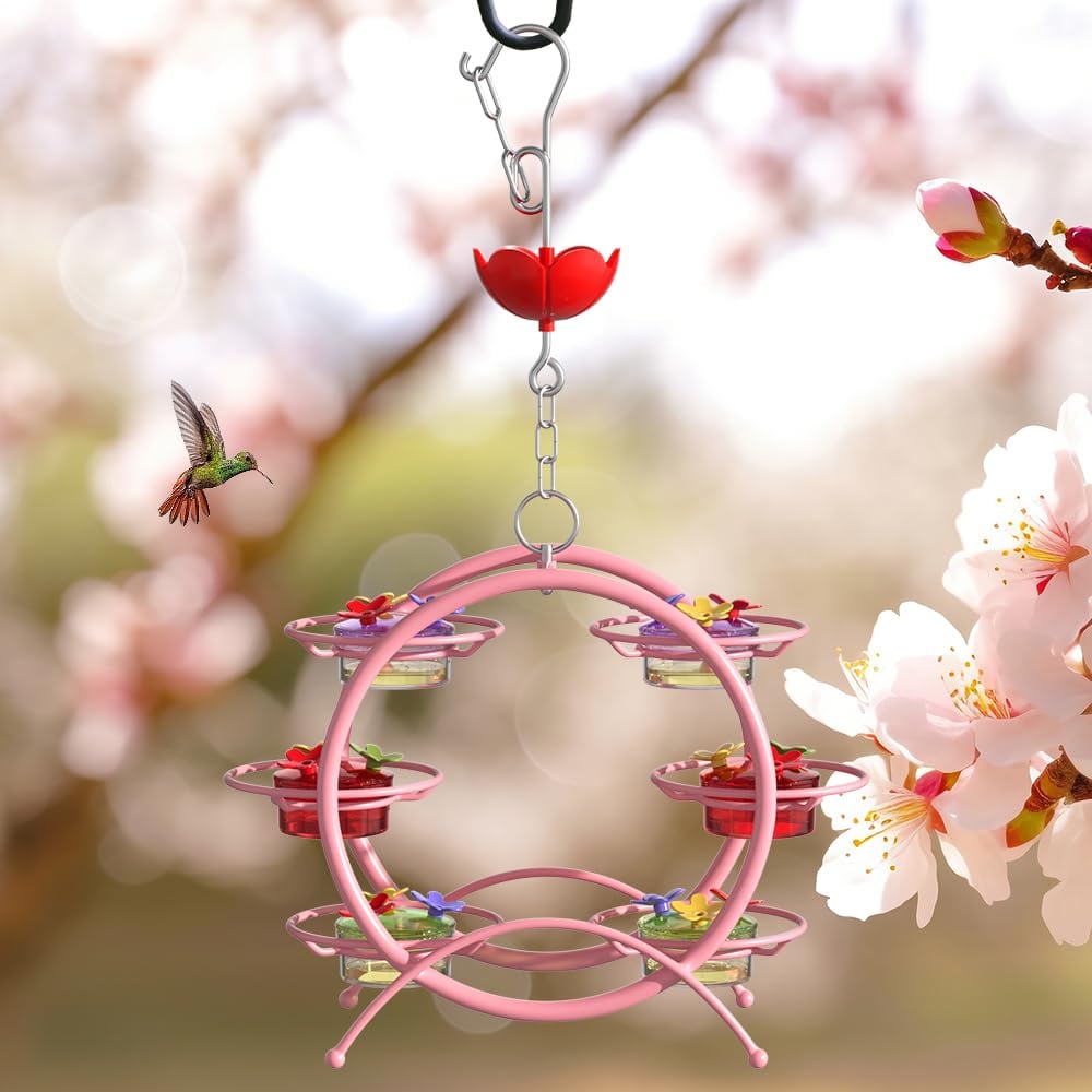 Unique Hummingbird Feeder for Outdoors