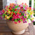 Artificial Flower