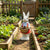 16" Rabbit Couple Garden Statues, Hand-Painted Resin Bunny Planters for Spring & Summer Patio