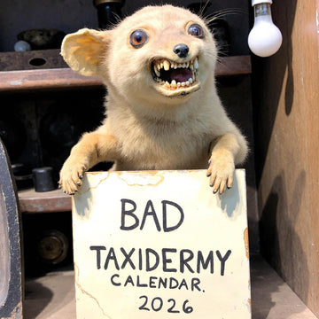 2026 Bad Taxidermy Wall Calendar – Weird, Gross and Hilariously Awful Taxidermy