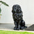 20.5" Majestic Resin Black Lion Statue, Weatherproof Guardian Sculpture for Patio & Entryway