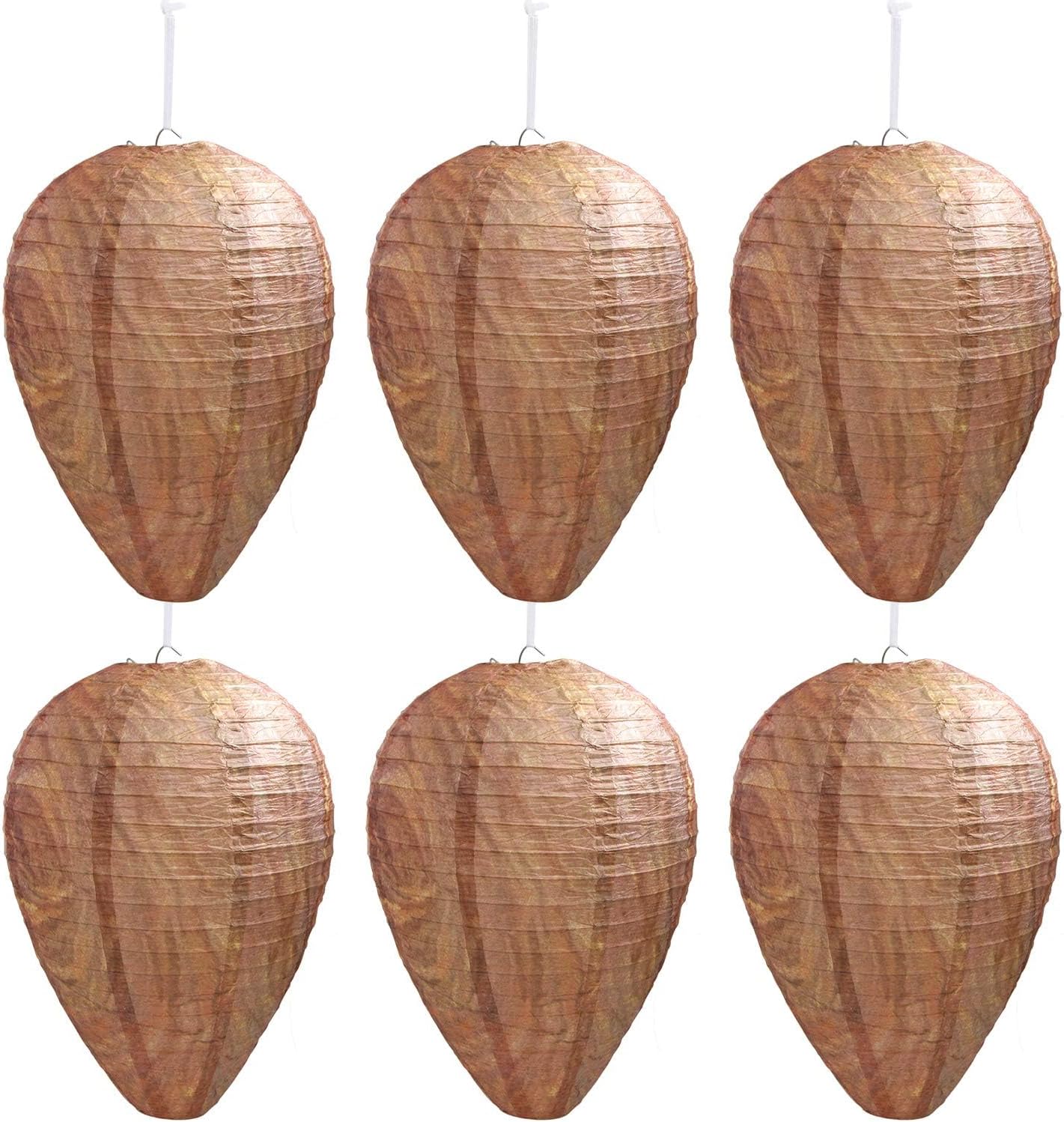 Best Bee Brothers Natural Wasp Deterrent Hives - Protect Your Yard from Territorial Wasps