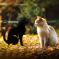 Black Cat Silhouette Garden Decor (Set of 3)