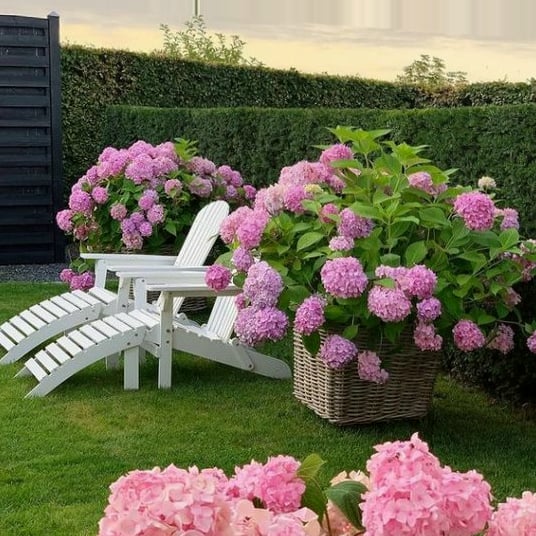 Outdoor Artificial Hydrangea Flowers