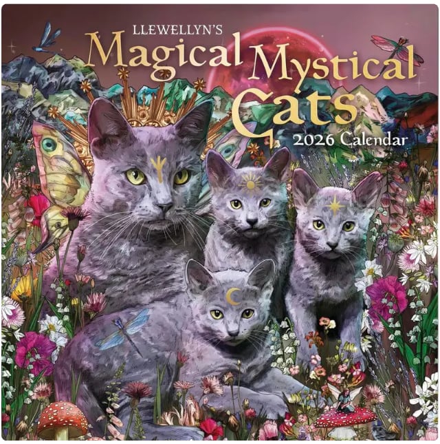 2026 Magical Mystical Cats Calendar