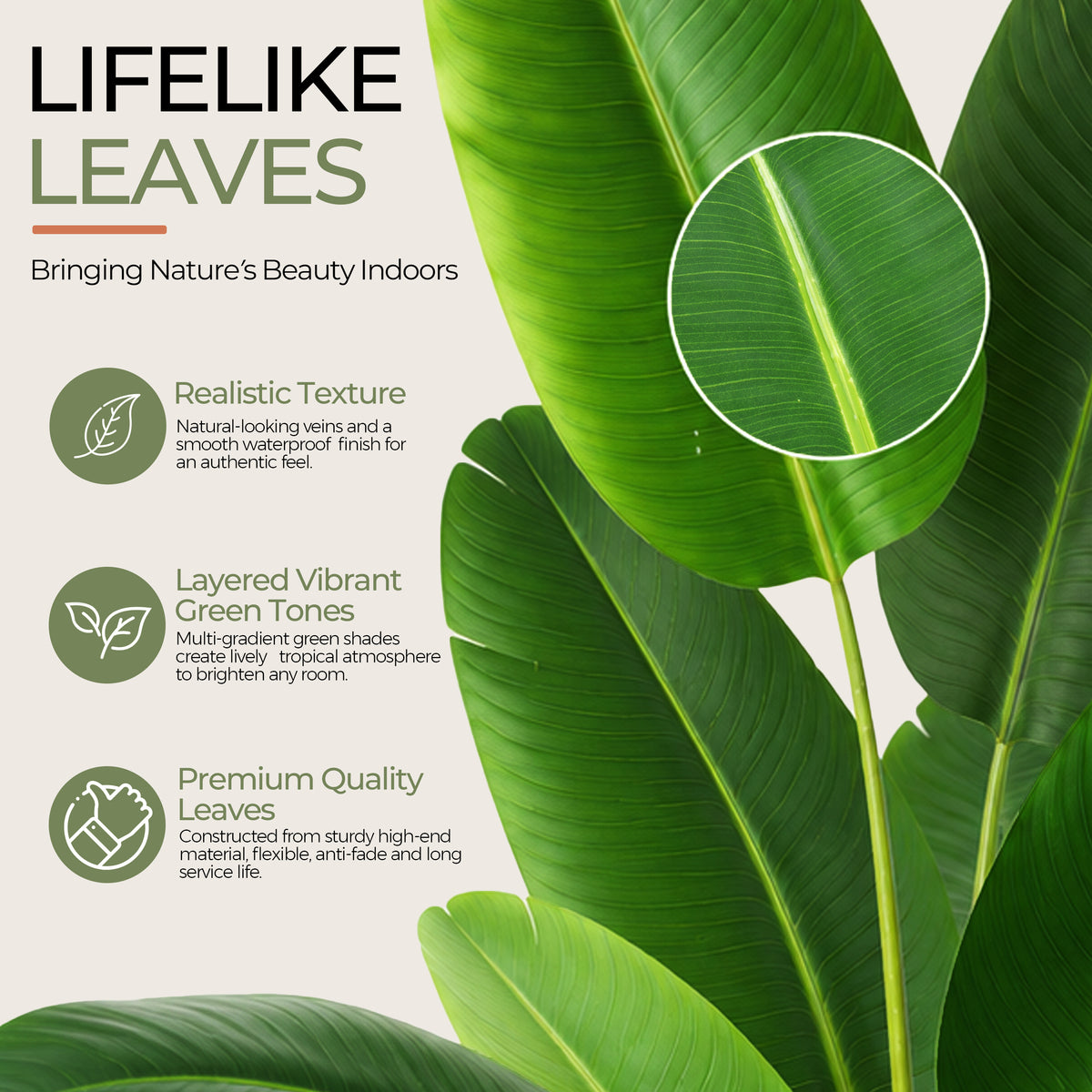 26569389
