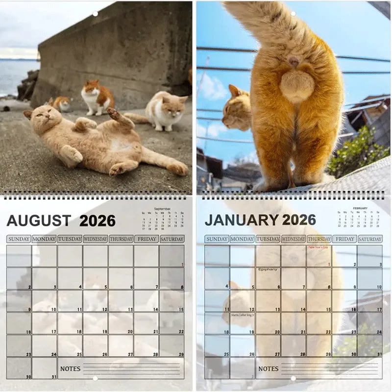 2026 Cat Bullholes Calendar