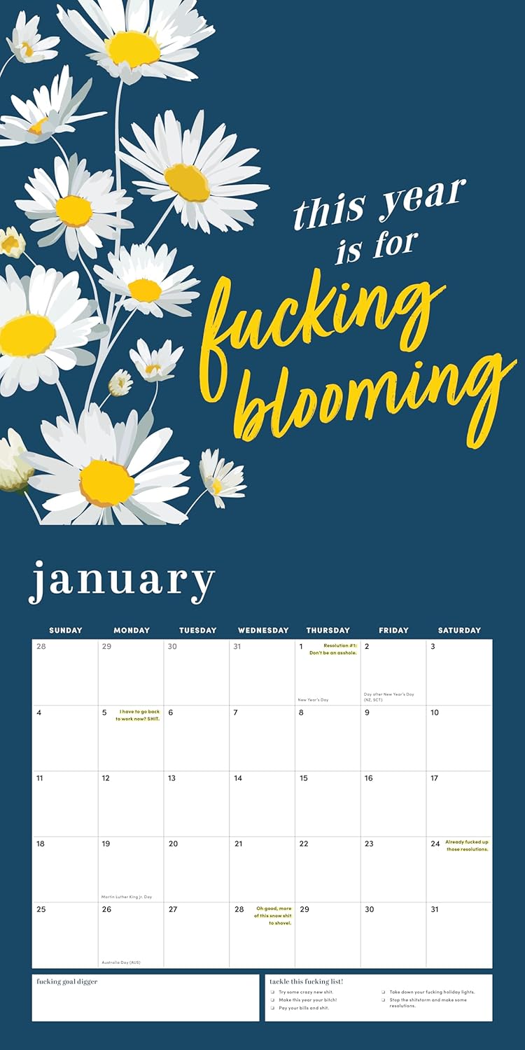 2026 She Believed She Could So She F*cking Did Wall Calendar (Calendars & Gifts to Swear By)