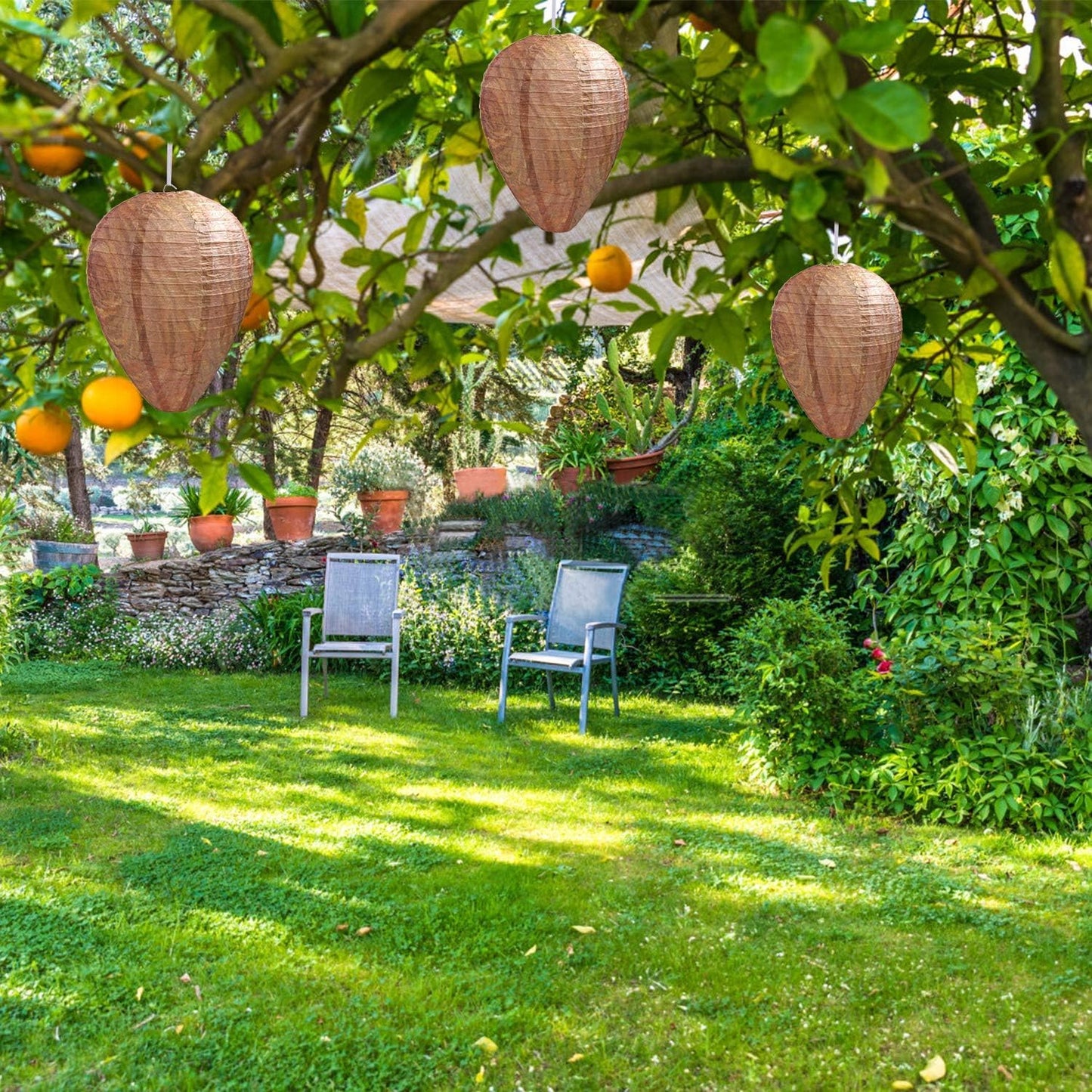 Best Bee Brothers Natural Wasp Deterrent Hives - Protect Your Yard from Territorial Wasps