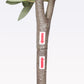 26703168