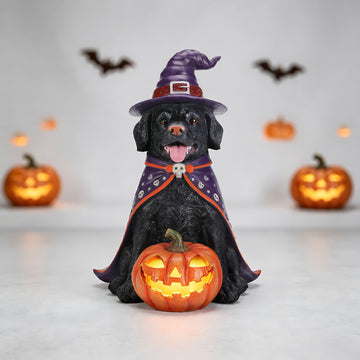 Halloween Black Labrador Statue, Large Witch Dog Figurine with LED Light Up Pumpkin