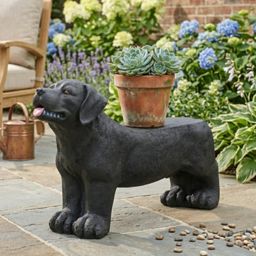 MGO Dog Bench, Outdoor Seating with Matte Black Finish, No Assembly Required