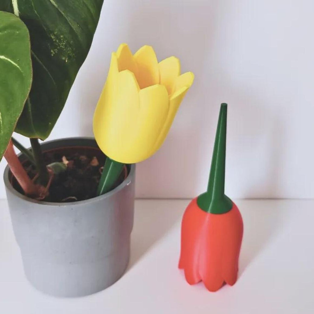 Self Watering Planter - Plant Watering