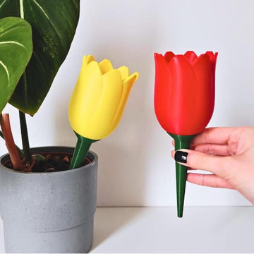 Self Watering Planter - Plant Watering