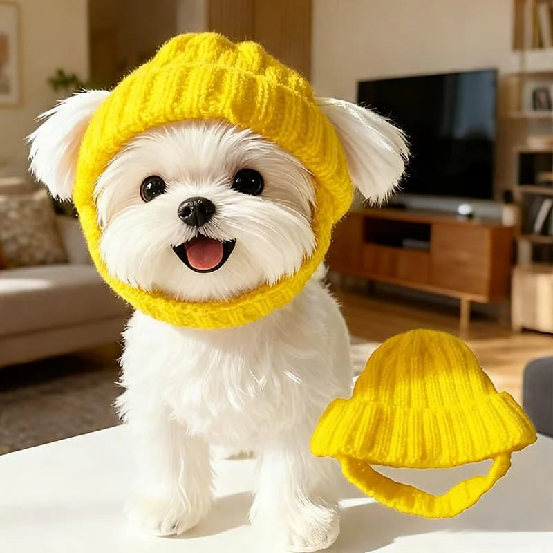 Wool Knit Dog Beanie with Ear Flaps – Warm Winter Hat