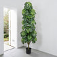 6FT Artificial Schefflera Tree, Lifelike Faux Umbrella Plant with Black Pot for Home Decor