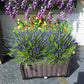 20 Pcs Artificial Plants Outdoor