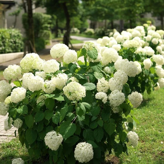 Outdoor Artificial Hydrangea Flowers