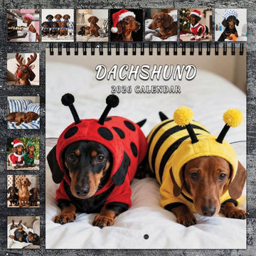 2026 Dachshund Dog Wall Calendar