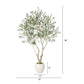 26702962