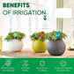 Colored Glass Plant Watering Globes（6 Colors）