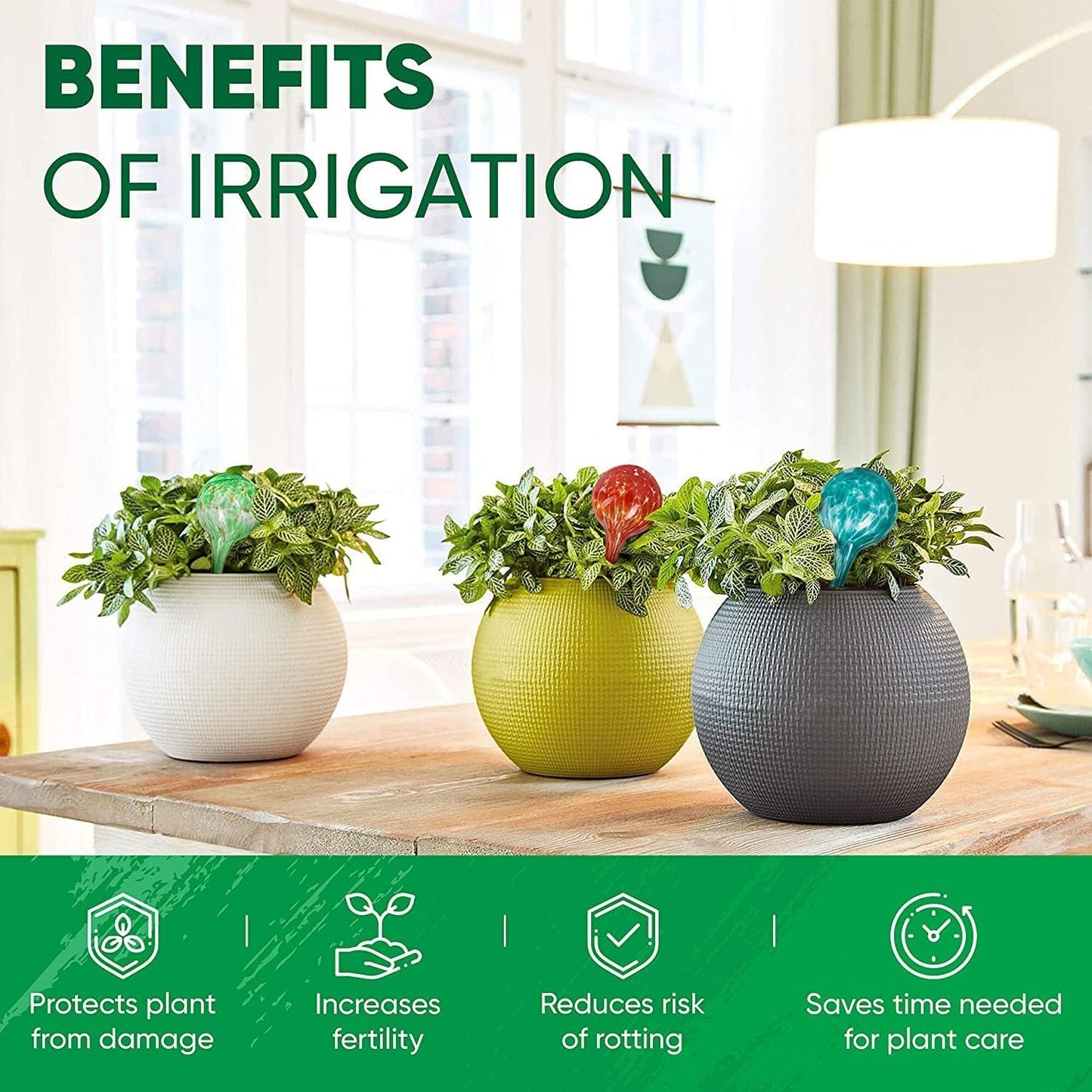 Colored Glass Plant Watering Globes（6 Colors）