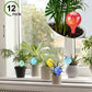 Colored Glass Plant Watering Globes（6 Colors）