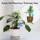 Colored Glass Plant Watering Globes（6 Colors）